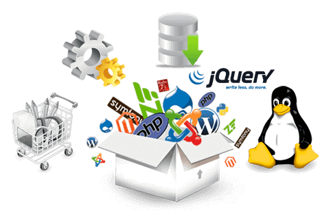 Website Development
