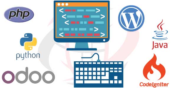 hire back-end developer